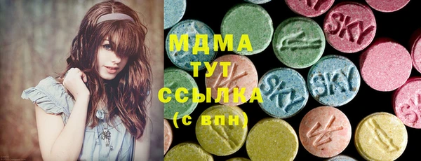 индика Протвино
